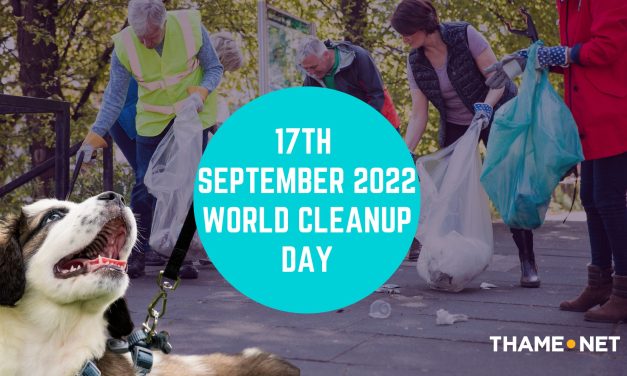 17th September 2022 – World Cleanup Day