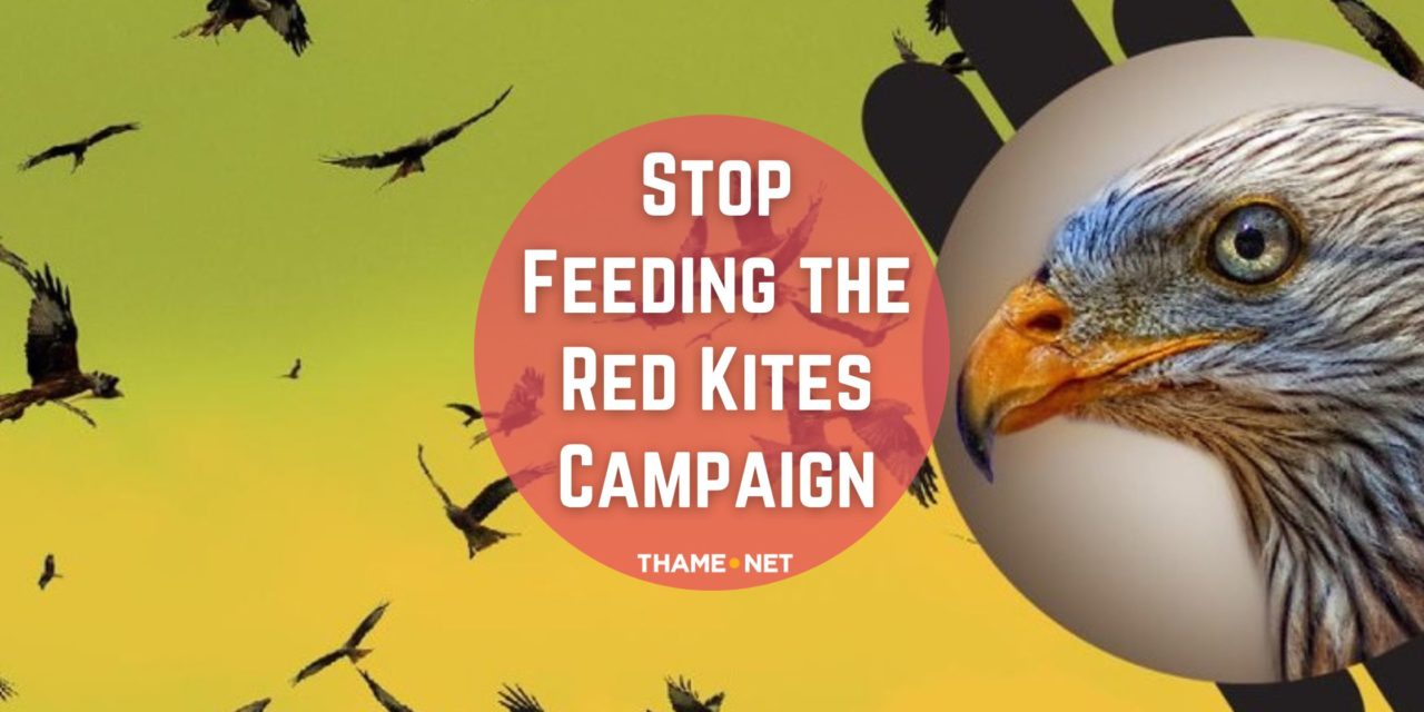 Red Kite Campaign