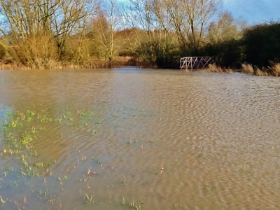 Watkins Bridge in Cuttle Brook Nature Reserve in Thame, surrounded by water