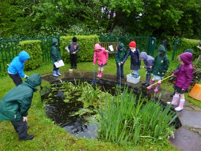 Pupils from John Hampden School, Thame, pond- dipping