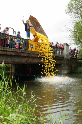 Captain Duckie alias Stuart Groves, launches hundreds of pastic ducks into the River Thame