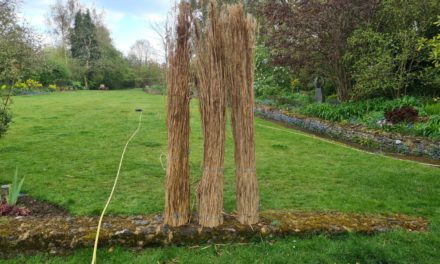 Straw and reed shortages continue to threaten the traditional craft of Thatching