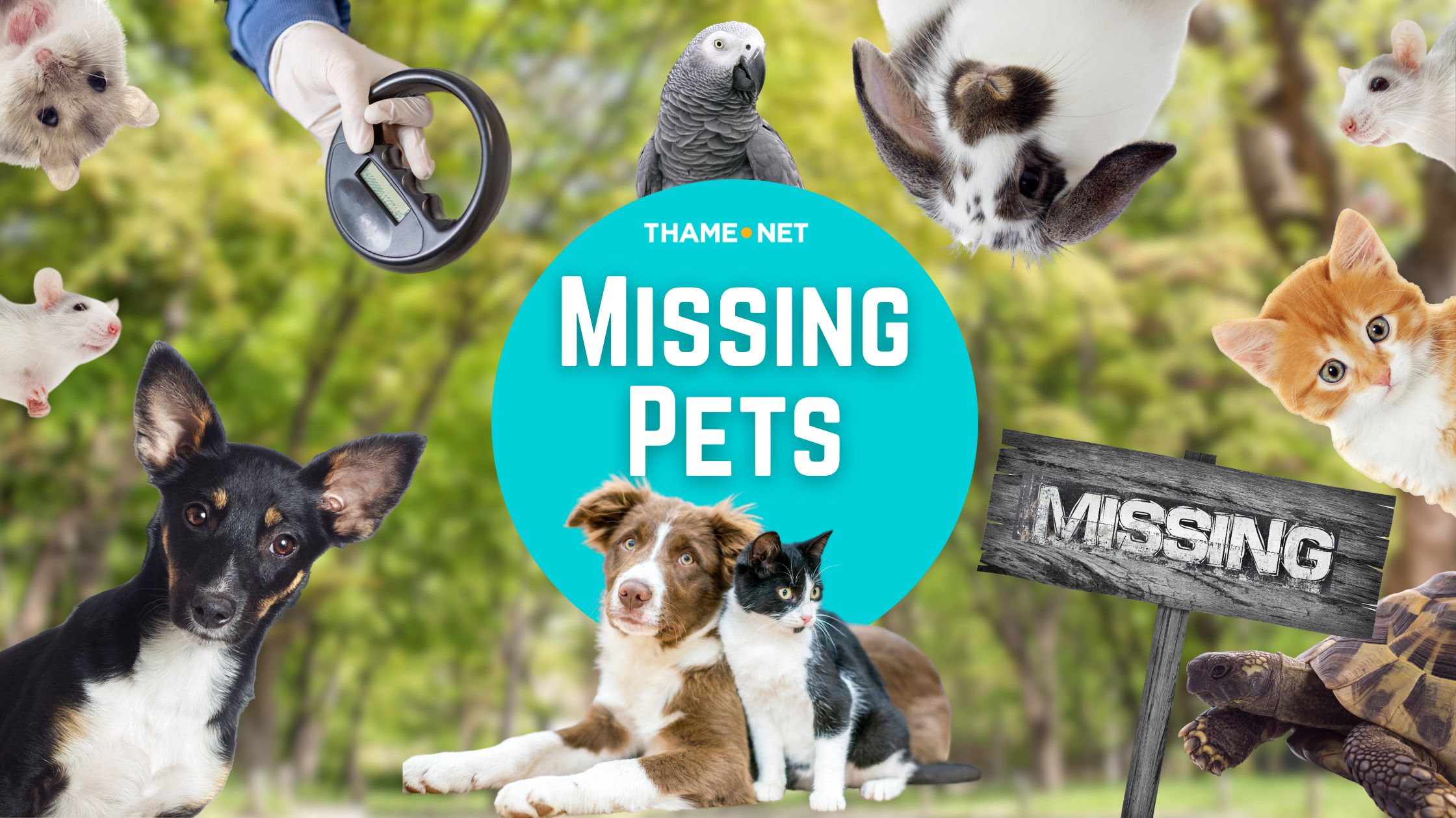 Missing Animals Missing Pets - Discover Thame - Thame.net