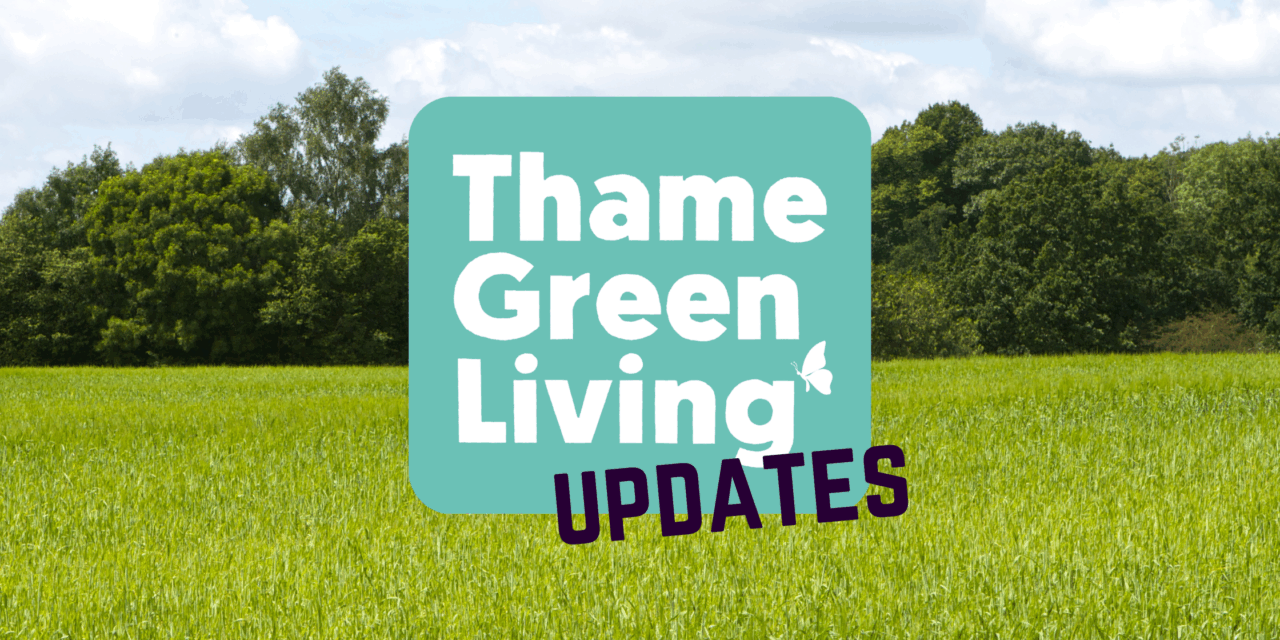 Thame Green Living Website – Fresh Updates for a Greener, Stronger Community